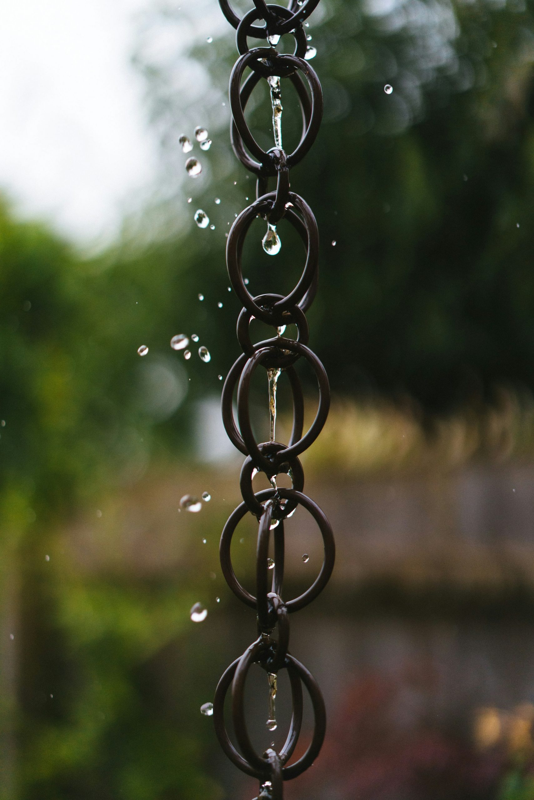 phil-hearing-272FOslfKsg-unsplash