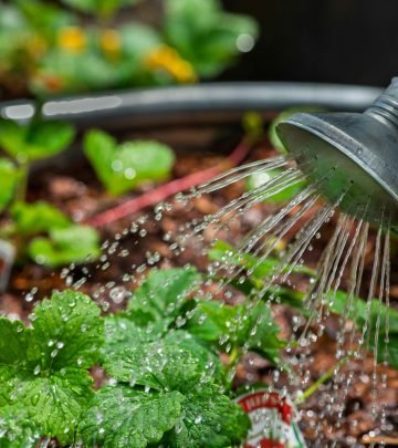 benjamin-white-1VJt-0nyDhg-unsplash copy