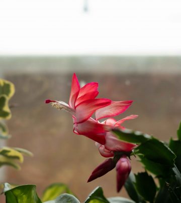 cameron-arksey-U88tT_IxVgA-unsplash copy