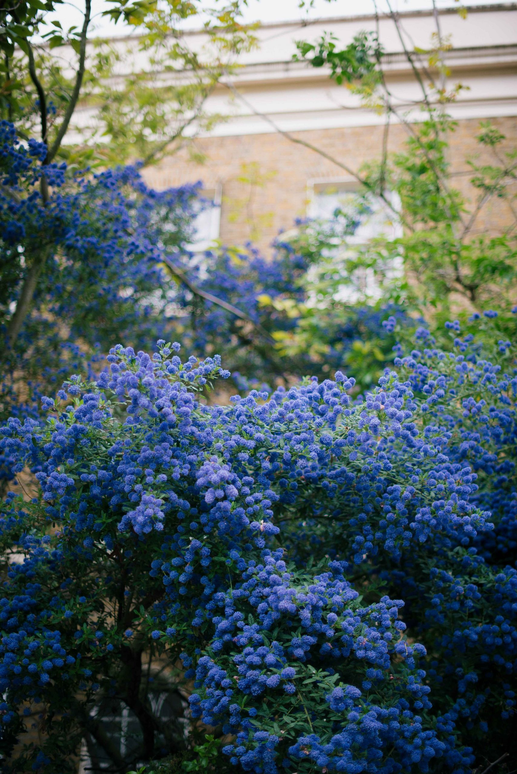 charlotte-harrison-B_n--JOCKlo-unsplash copy