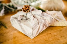 david-olivier-gascon-Ygu0ozjrFQ0-unsplash copy