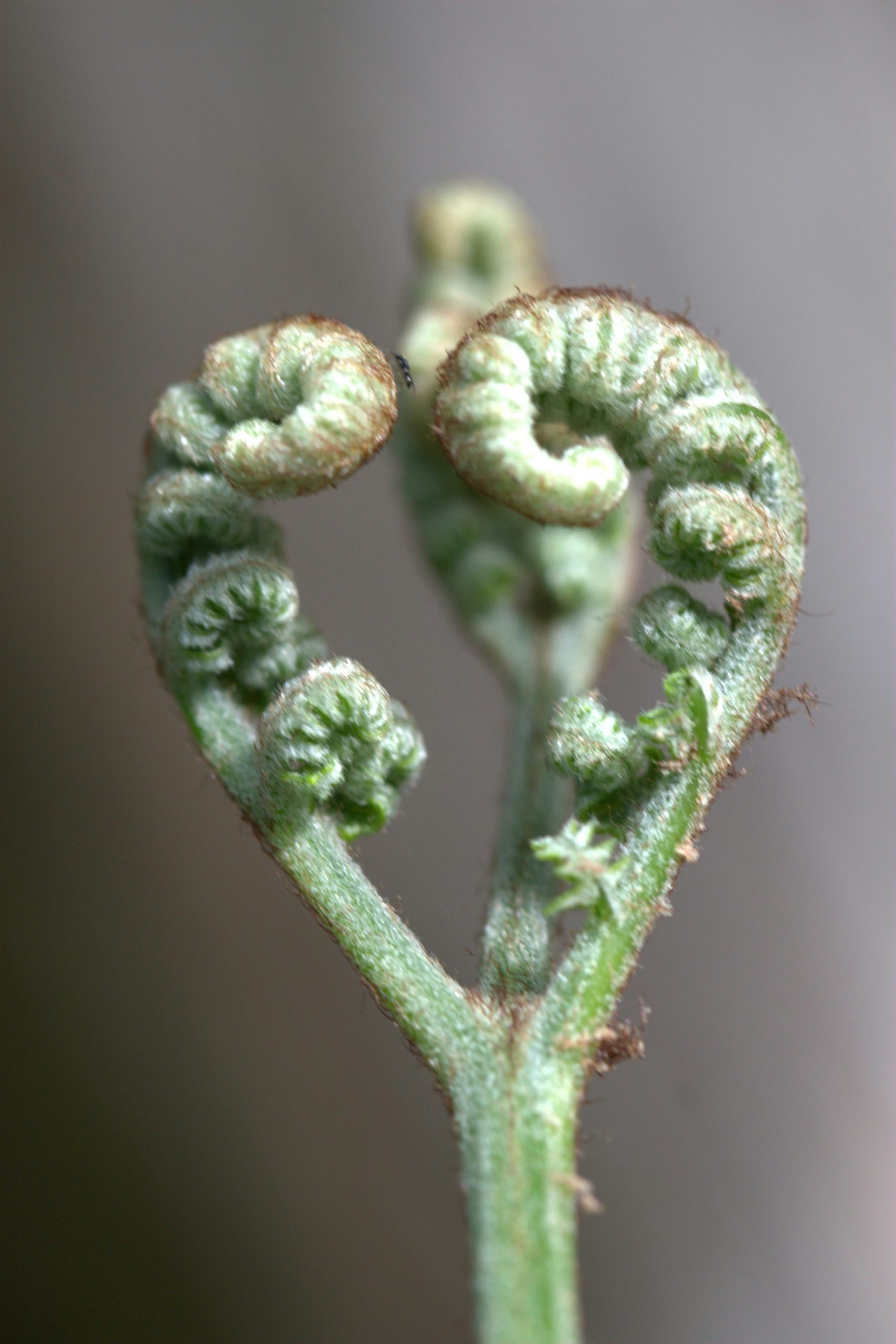 ernest-boyd-XqBpTMQFPVE-unsplash