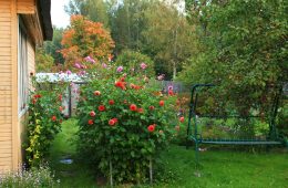 gal-nemts-8uFJusPaRBg-unsplash copy