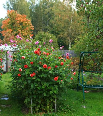 gal-nemts-8uFJusPaRBg-unsplash copy