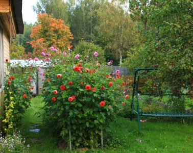 gal-nemts-8uFJusPaRBg-unsplash copy