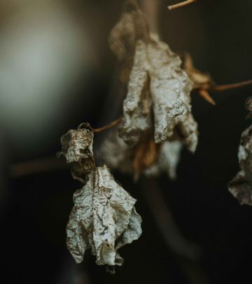 huzaifa-ginwala-KJnaVfdwzlA-unsplash copy