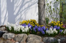 natella-libin-5w7qc0M5bRs-unsplash copy