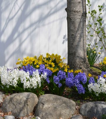 natella-libin-5w7qc0M5bRs-unsplash copy