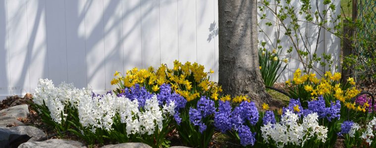 natella-libin-5w7qc0M5bRs-unsplash copy