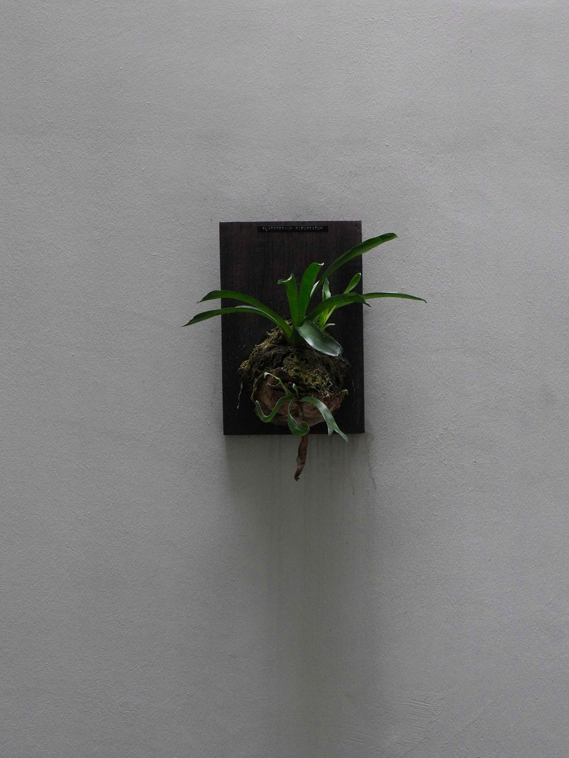 nhn-1Uols_UewZw-unsplash copy