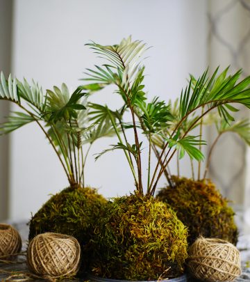 pexels-armandvalendez-5725638