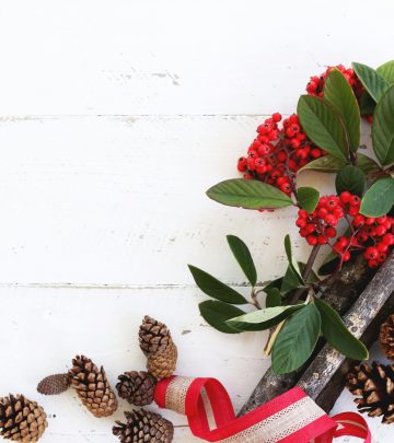 pexels-candis-hidalgo-23771-639112