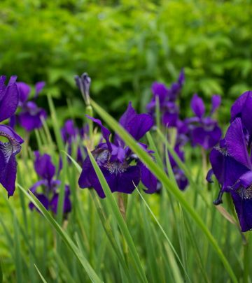 pexels-creative-vix-7285