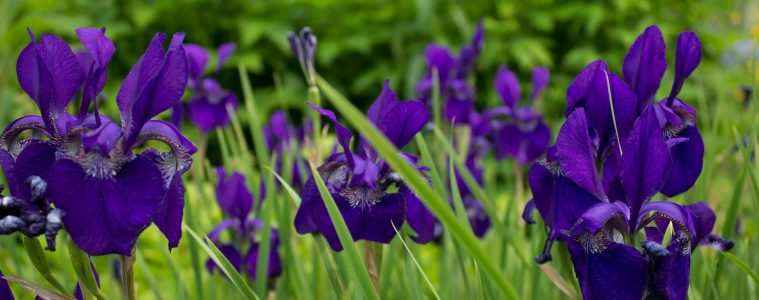 pexels-creative-vix-7285