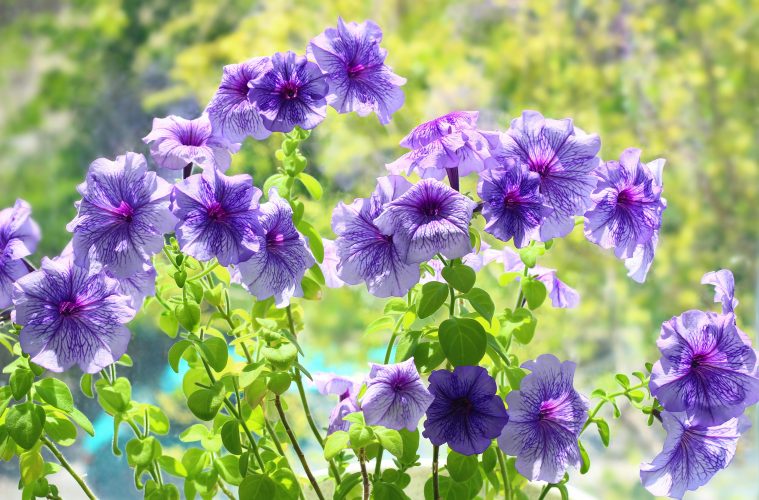 pexels-eleonora-sky-3280875-12292369