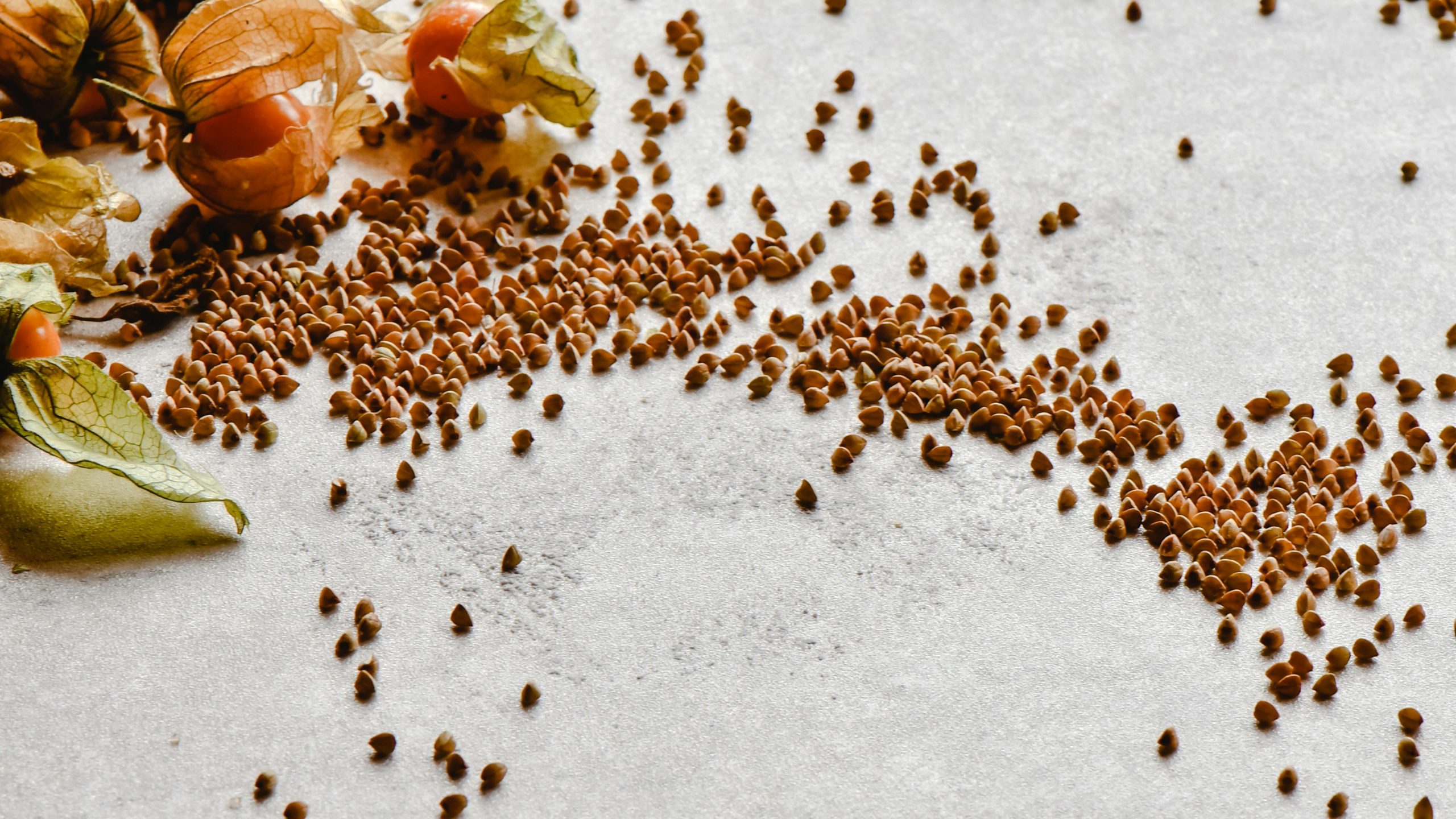 pexels-eva-bronzini-6811050