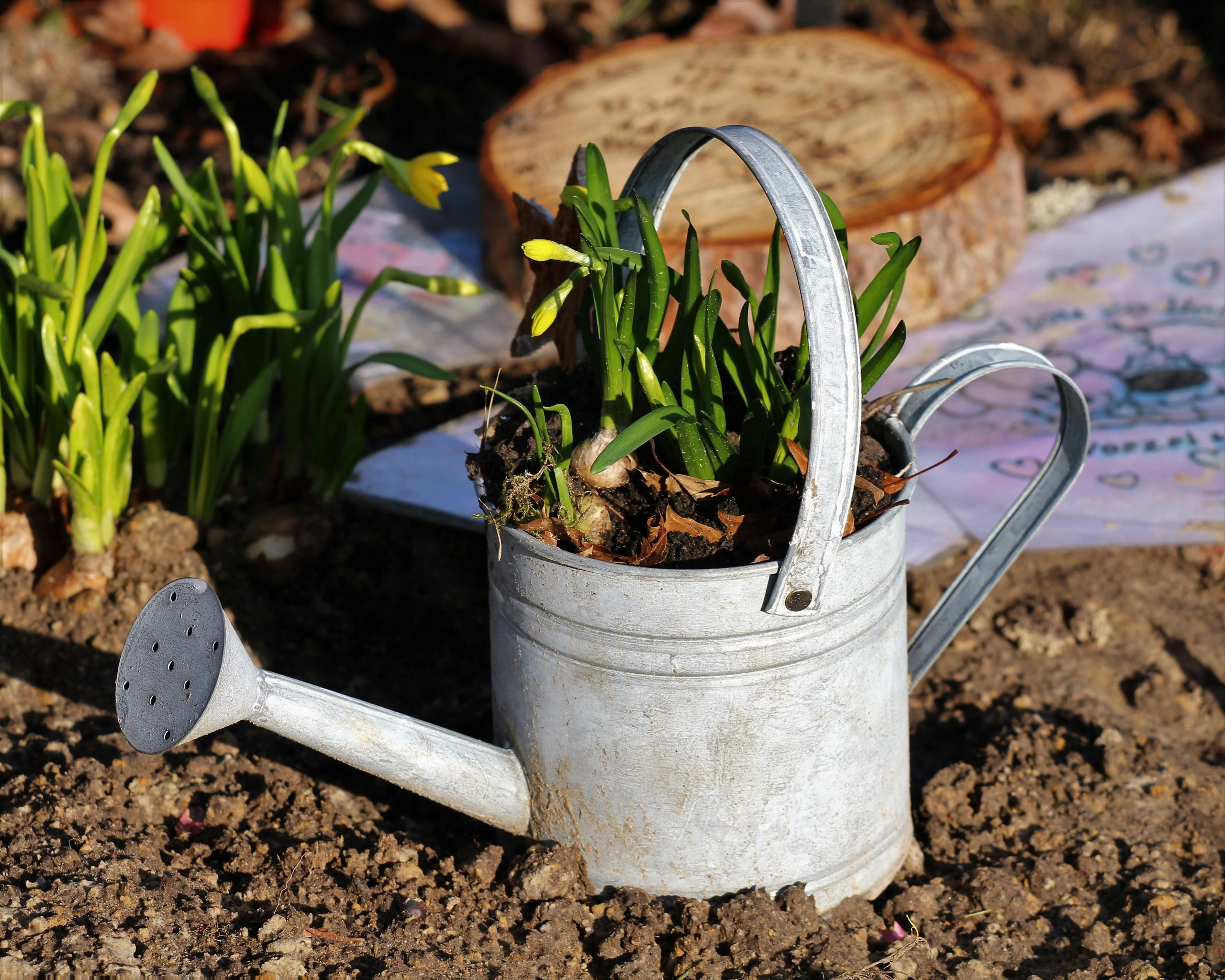 pexels-hansmiddendorp-11153073