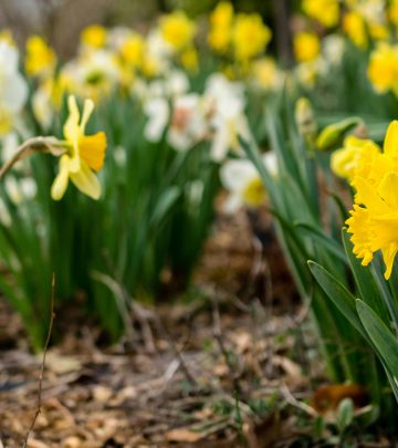 pexels-hilaryh-1031433