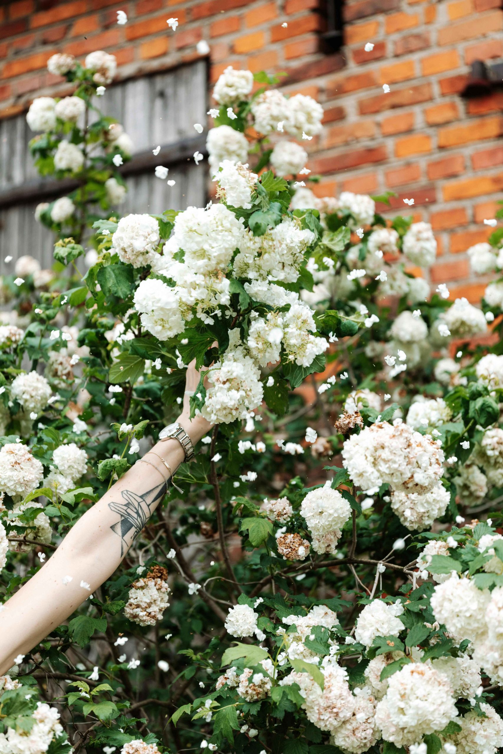 pexels-karola-g-4750010 copy