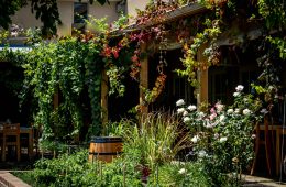 pexels-magda-ehlers-pexels-3873820 copy