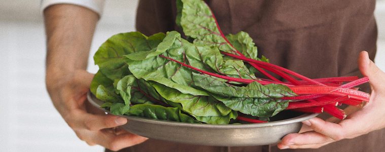 pexels-maria-verkhoturtseva-21177529-9005958