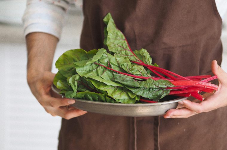 pexels-maria-verkhoturtseva-21177529-9005958