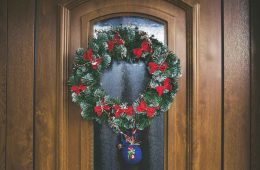 pexels-matej-117839-730611 copy