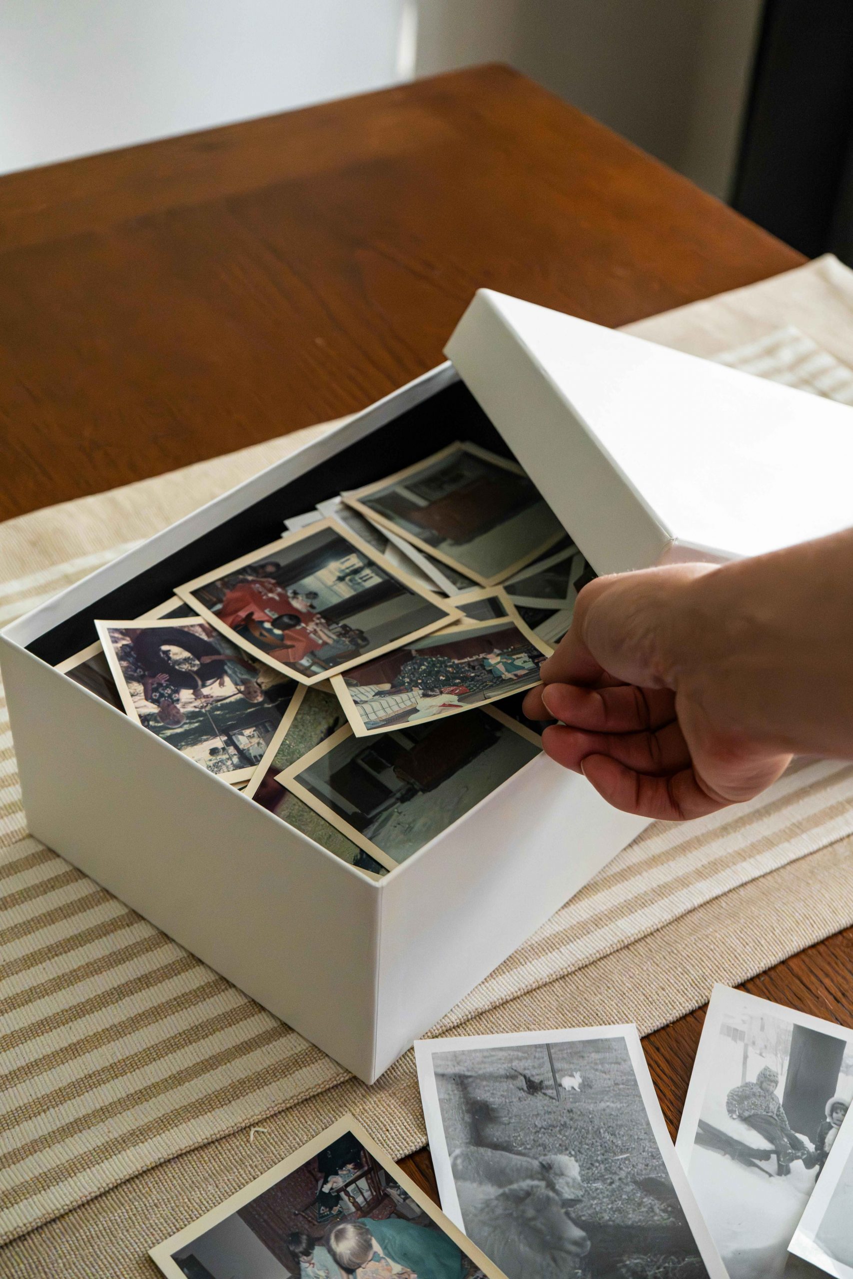 pexels-poopfishsocks-34384406 copy