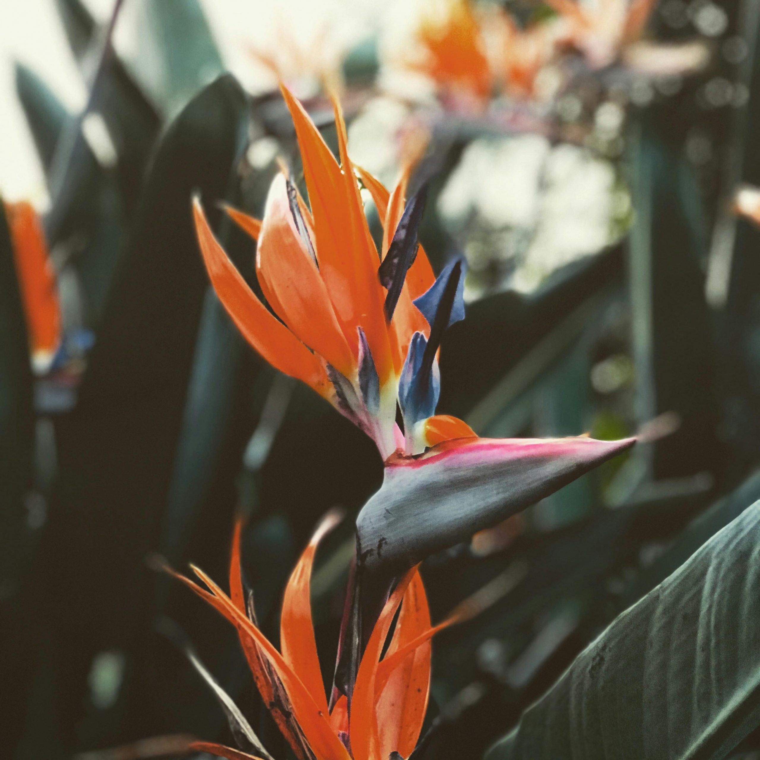 pexels-postiglioni-1927084