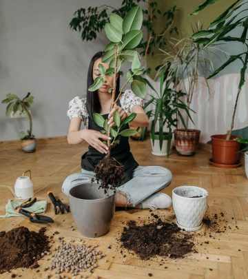 pexels-rocketmann-prod-9507309 copy