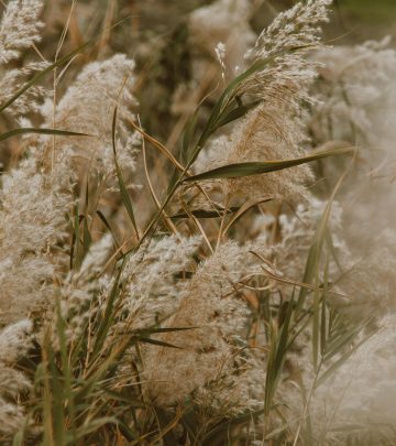 pexels-roman-odintsov-6342334