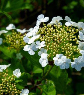 pexels-sergeispas-1151756-17148603