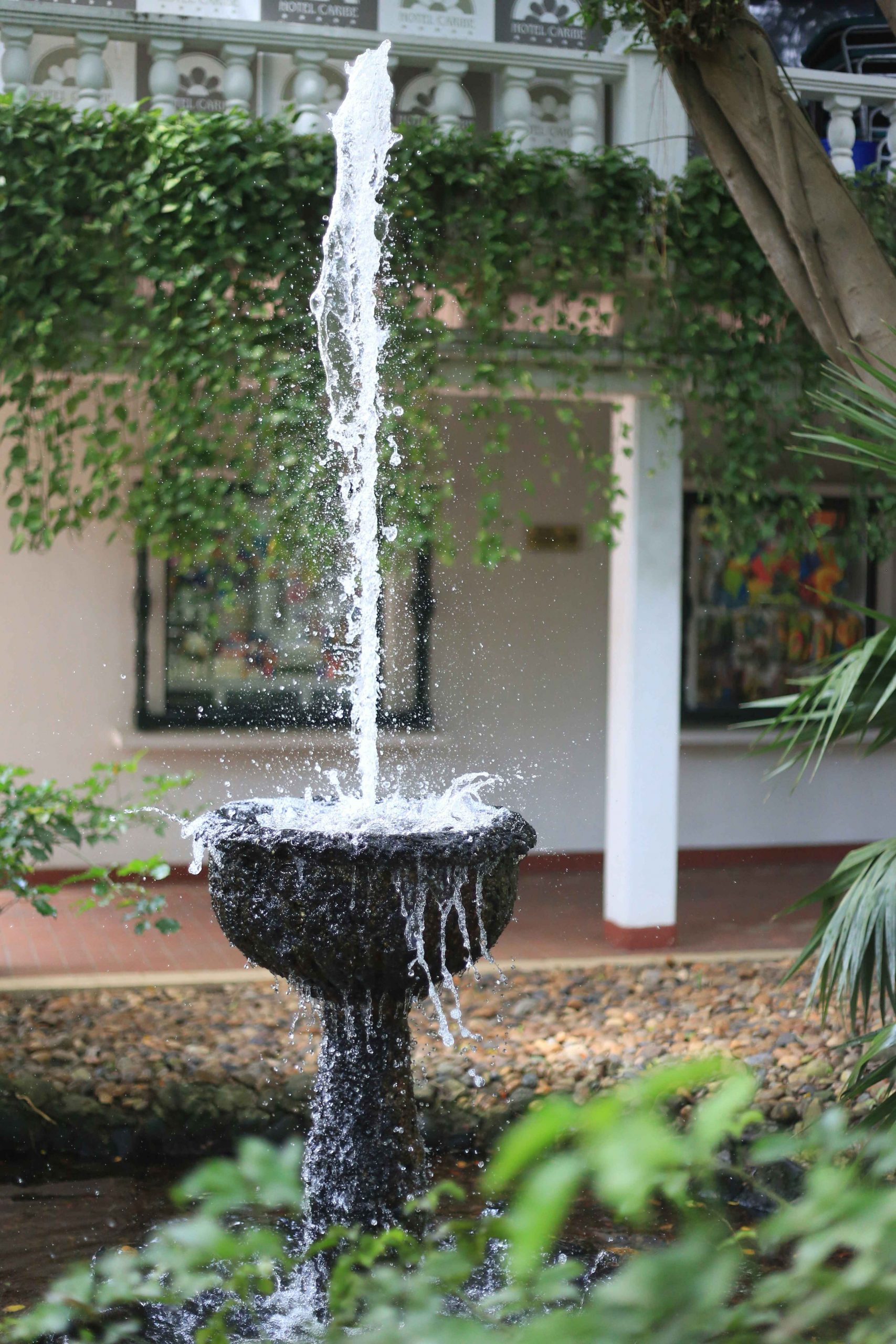 ricardo-restrepo-ruiz-1vwQ7iffdCg-unsplash copy