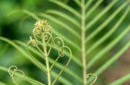 thomas-kinto-Umf2o_G1Hvo-unsplash