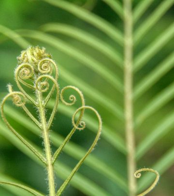 thomas-kinto-Umf2o_G1Hvo-unsplash