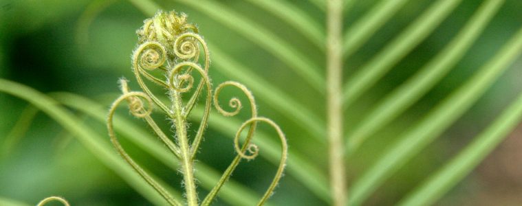 thomas-kinto-Umf2o_G1Hvo-unsplash