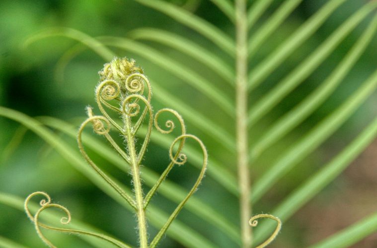 thomas-kinto-Umf2o_G1Hvo-unsplash