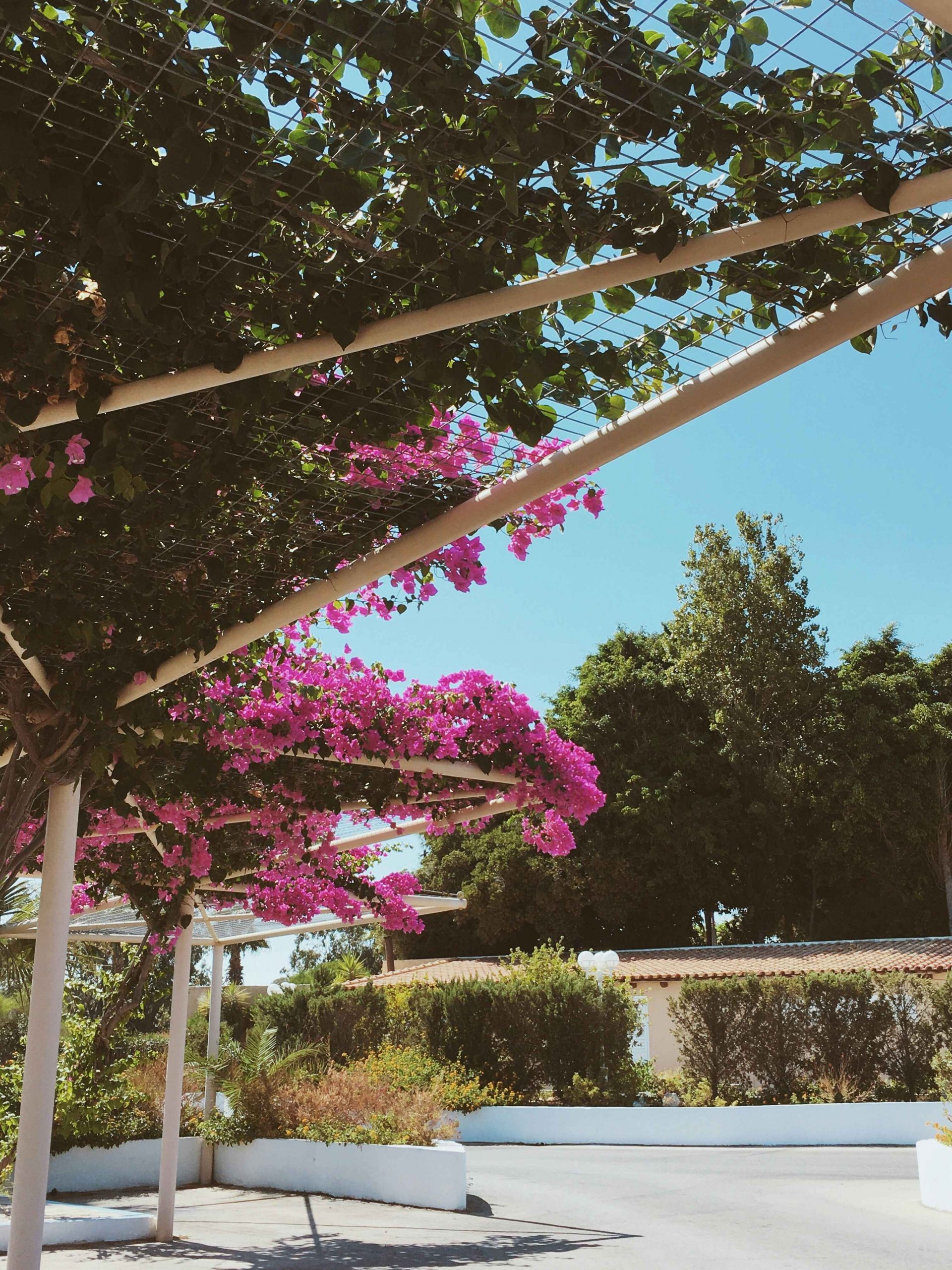 valentina-chernobay-_zlhto3edv8-unsplash copy