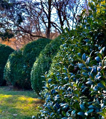 vezeteu-david-pgBIjCfnrU8-