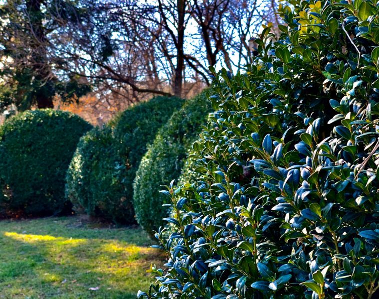 vezeteu-david-pgBIjCfnrU8-