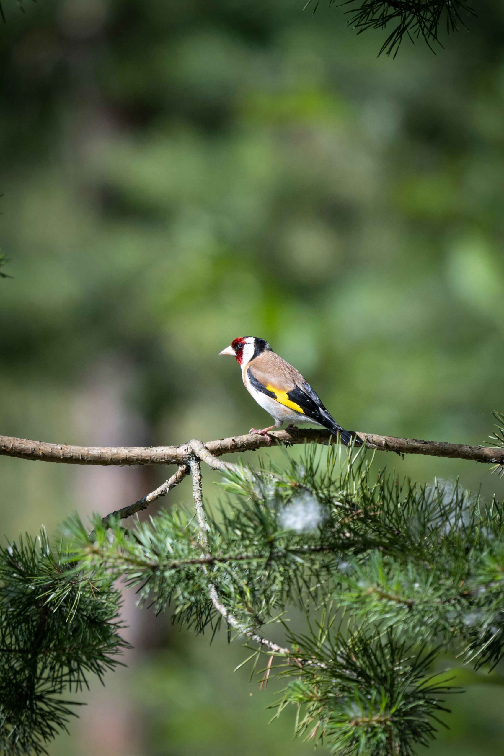 andrey-strizhkov-2ezqrZevGQs-unsplash copy