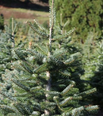 david-j-boozer-zekob9eXpS4-unsplash copy