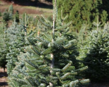 david-j-boozer-zekob9eXpS4-unsplash copy