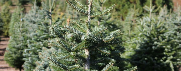 david-j-boozer-zekob9eXpS4-unsplash copy