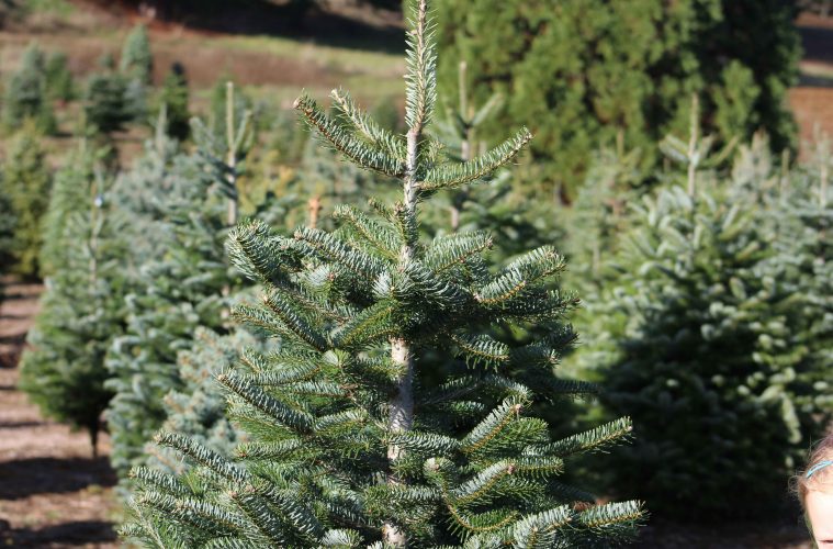 david-j-boozer-zekob9eXpS4-unsplash copy