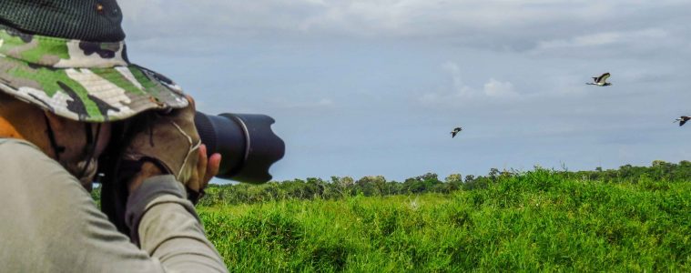 dieny-portinanni-BY5vzIdSjbo-unsplash copy