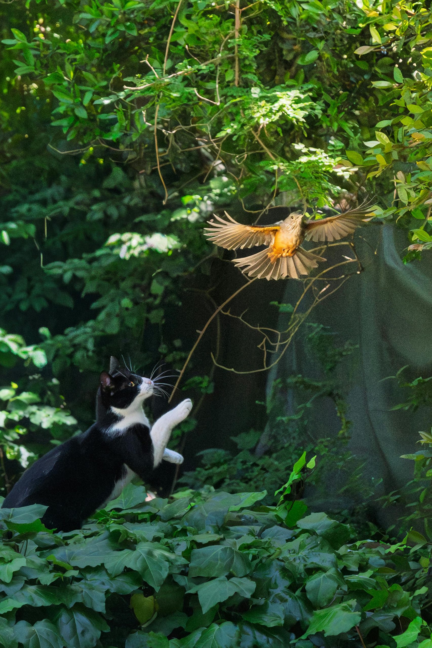 pexels-marcelo-gonzalez-1141370437-34461955