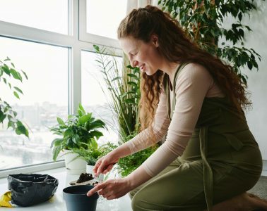 pexels-matilda-wormwood-7485078