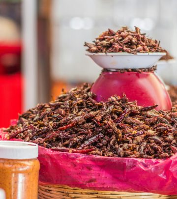 pexels-noemiji-23524542