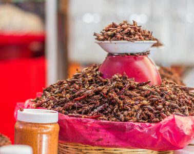 pexels-noemiji-23524542